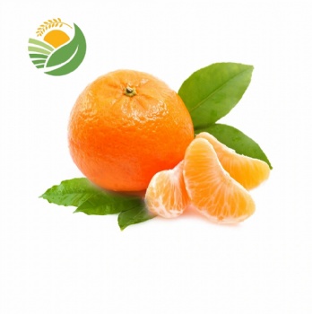 Fresh Mandarin