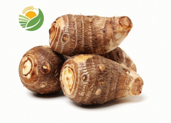 Fresh Taro