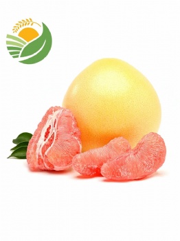 Fresh Pomelo