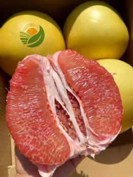 Fresh Pomelo