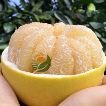 Fresh Pomelo